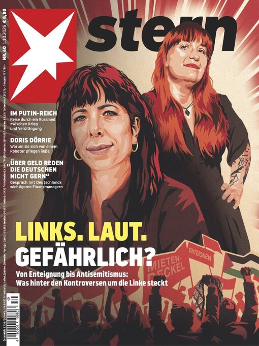 Cover image for stern